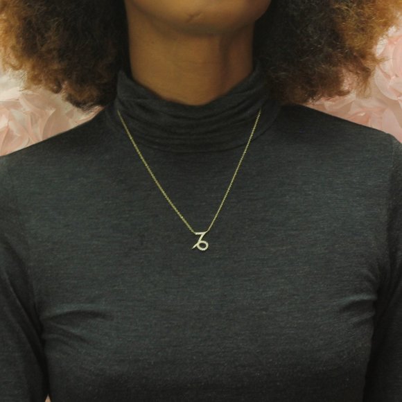 14k Gold Vermeil Capricorn Zodiac CZ Necklace - Picture 5 of 6